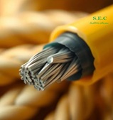 سیم50 مفتولNYY